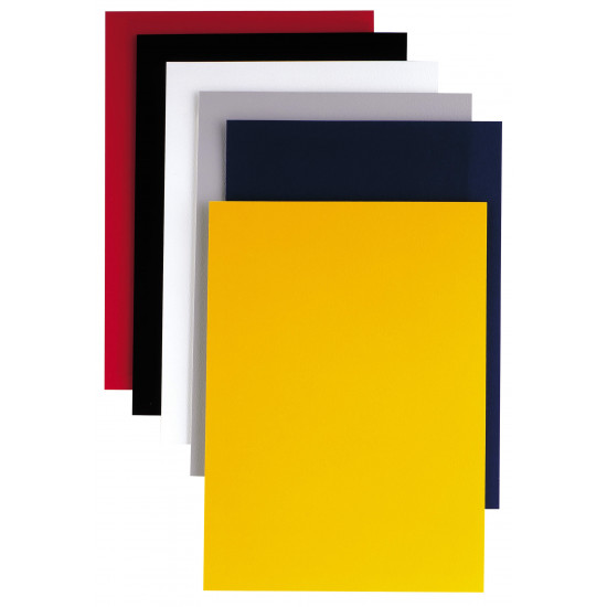 Nr. 100 Copertine per rilegatura Video Roc