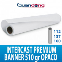 Guandong Intercast Premium Banner
