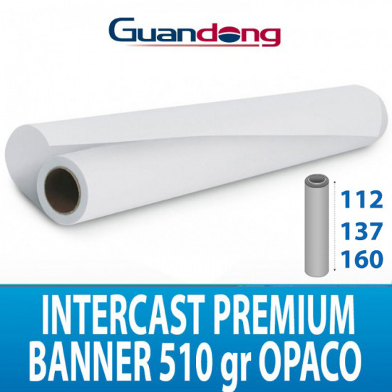 Guandong Intercast Premium Banner