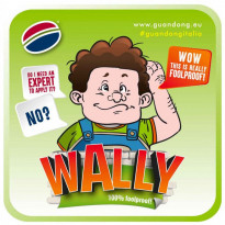 Guandong Wally Attacca/Stacca