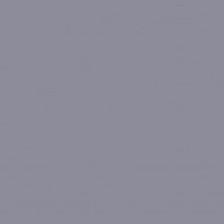 Siser PS Film Cenere A0071