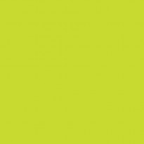 Siser PS Electric Lime E0030