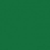 Siser PS Film Verde N0009