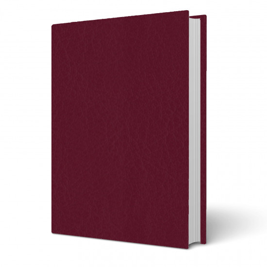 Copertina tesi Venus Bordeaux