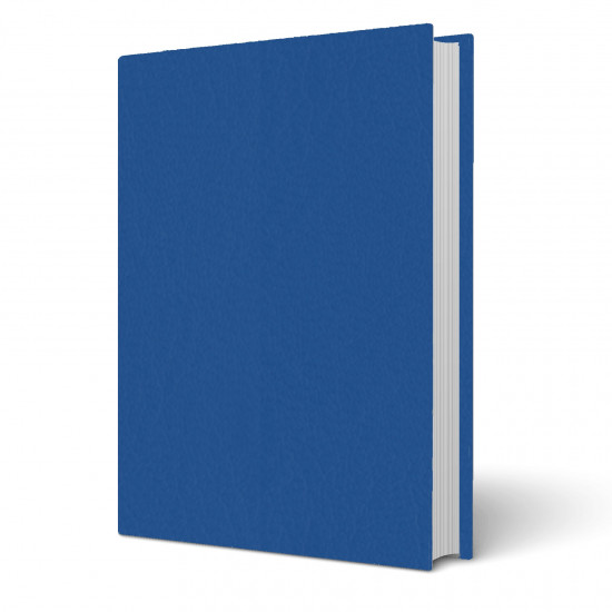 Copertina tesi Venus Denim