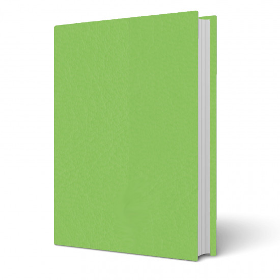 Copertina tesi Venus Lime