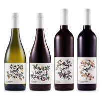 Carta adesiva - Italbrut Antartica