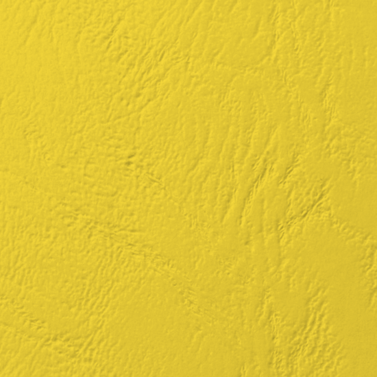 Clairefontaine Grain Cuir Giallo