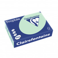 Cartoncino colorato Clairefontaine Trophée verde A4 210 g