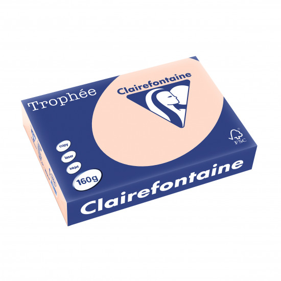 Risma A4 carta Clairefontaine Trophée Salmone 160 g/m²
 1104
