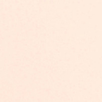 Carta Favini Burano Salmone 05