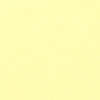 Carta Favini Burano Giallo (07)