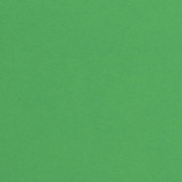 Carta Favini Burano - Verde Bandiera (60)