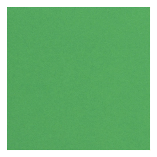 Carta Favini Burano - Verde Bandiera (60)