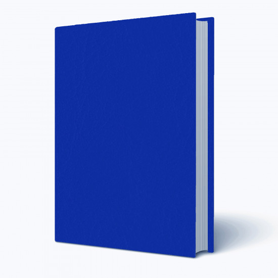 Copertina tesi Venus Blu Elettrico