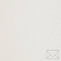 Sirio Pearl Oyster Shell