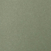 Carta Favini Shiro Echo Raw Green verde naturale medio carta ecologica materica con finitura ruvida naturale per stampa digitale