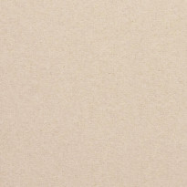 Carta Favini Shiro Echo Raw Sand beige sabbia caldo carta ecologica materica con finitura ruvida naturale per stampa digitale