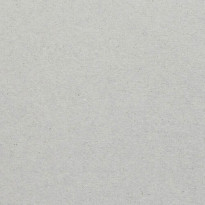 Favini Shiro Echo Raw Grey