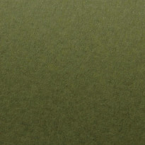 Tintoretto Ceylon Wasabi