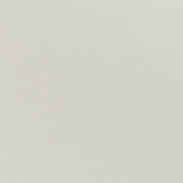 Carta Curious Metallics Lustre argento iridescente cangiante elegante