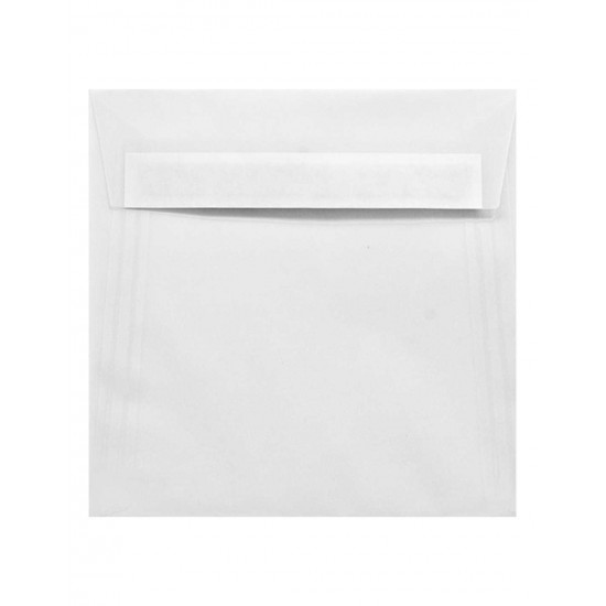 Buste Traslucent Extra White