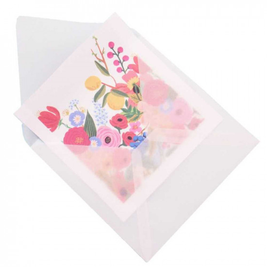 Buste Traslucent Extra White - cm. 15,3x15,3