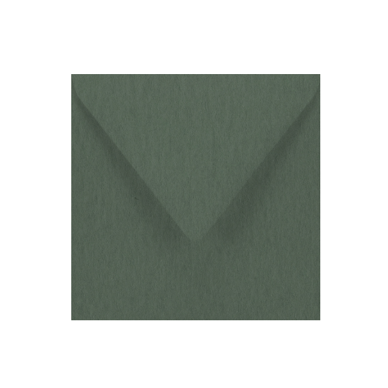 Buste Keaykolour Sequoia