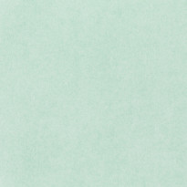 Carta Fedrigoni Sirio Allpack Duck Egg