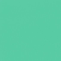 Carta Fedrigoni Sirio Allpack Menta