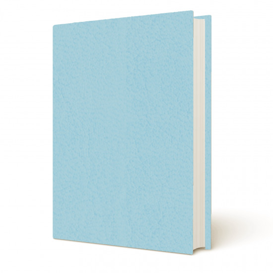 Copertina tesi Venus Celeste