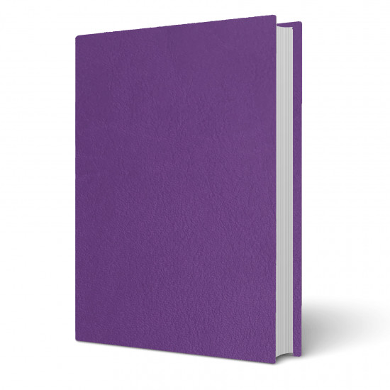 Copertina tesi Venus Viola