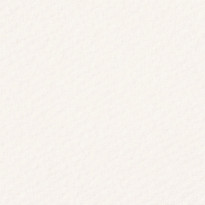 Carta Tintoretto Neve Fedrigoni bianco caldo naturale con texture marcata a feltro