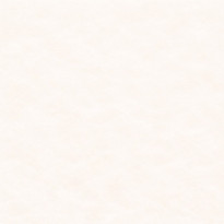 Carta Favini Laguna Naturale avorio molto chiaro dolce e luminoso effetto pergamenato leggero