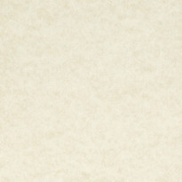 Carta pergamena Fedrigoni Marina Conchiglia