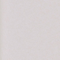 Carta Favini Crush Uva