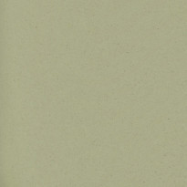 Carta Favini Crush Kiwi