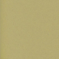 Carta Favini Crush Oliva