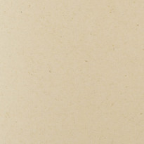 Carta Favini Remake Sand