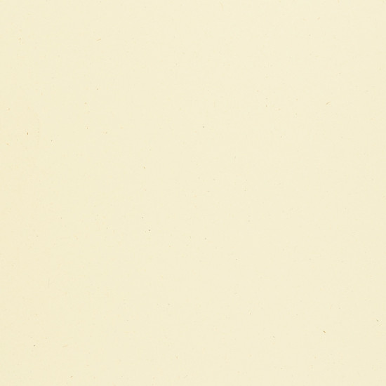 Carta Fedrigoni Woodstock Betulla avorio naturale puntinato concettato