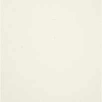 Carta Cordenons Flora Anice bianco naturale caldo con schegge visibili