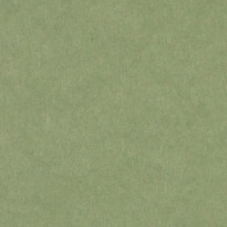 Carta Cordenons Wild Green verde salvia soffice e polveroso