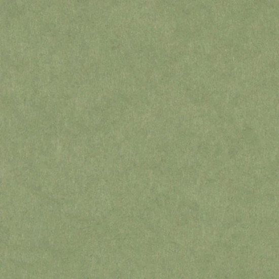 Carta Cordenons Wild Green verde salvia soffice e polveroso