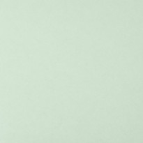 Carta Favini Burano Pistacchio