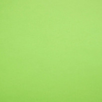 Carta Favini Burano Verde Prato (54)