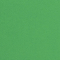 Carta Favini Burano - Verde Bandiera (60)