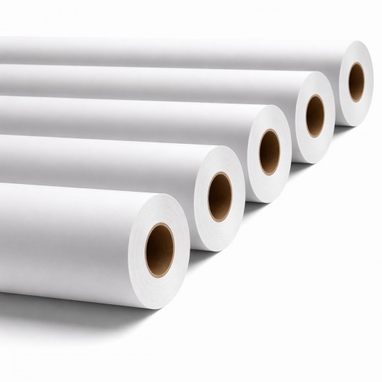 Rotoli Carta Plotter TrueColor Paper Matt