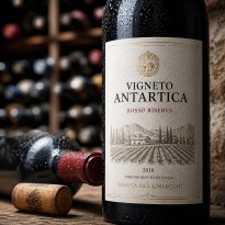 Carta adesiva antimuffa extra permanente Digitac Antarctica
