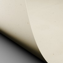 Dettaglio superficie carta Curious Particles Natural Lily Flower con inclusioni vegetali visibili