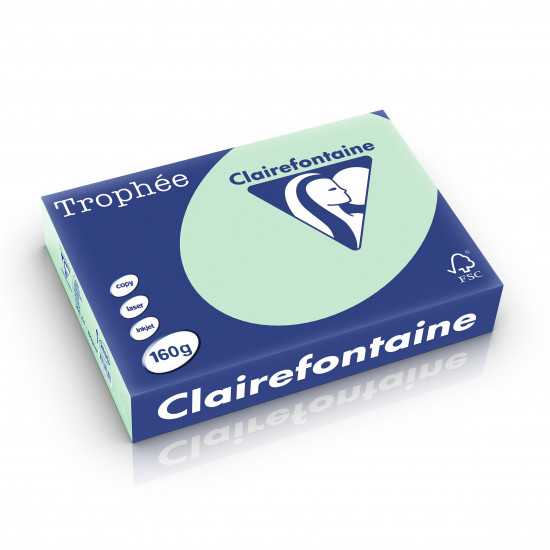 Risma A4 carta Clairefontaine Trophée Verde 160 g/m²
2635